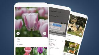 Google Lens: how to master Google's super-useful AI camera app